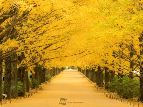 국영 쇼와 기념 공원