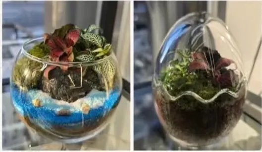 물멍풀멍테라리움