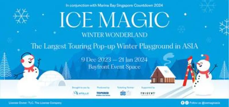 Ice Magic: Winter Wonderland