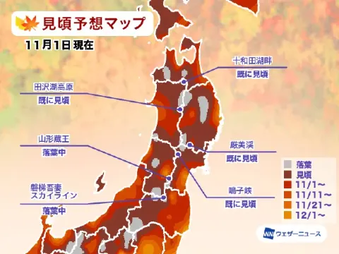 東北賞楓時間預測