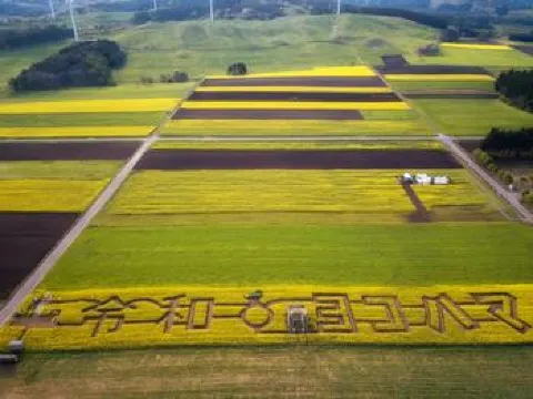 横浜町菜の花フェスティバル