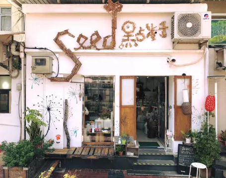 【サイゴン(西貢)日帰り旅行2025】サイゴン:透き通った海と美しい砂浜の代名詞!サイゴンの観光スポット、交通、グルメ、島巡りのおすすめ