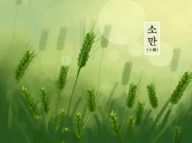 24절기 소만