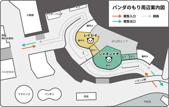 上野 動物園 パンダ