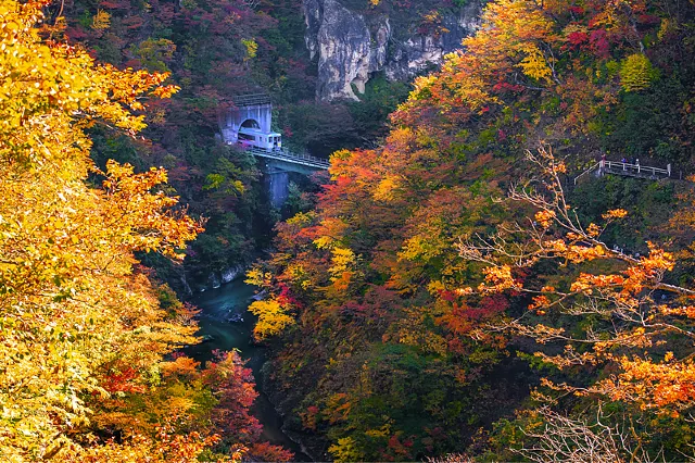 【紅葉 スポット2026】全国の紅葉名所・おすすめスポット｜紅葉見頃・時期・絶景スポットまで紹介