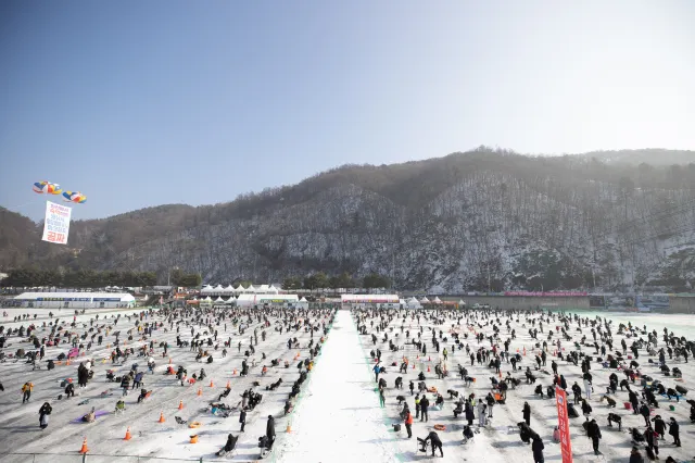 평창 송어축제