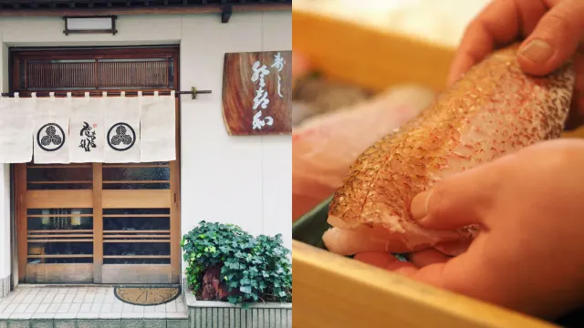 新瀉美食:黑喉魚|登喜和壽司(新発田本店)