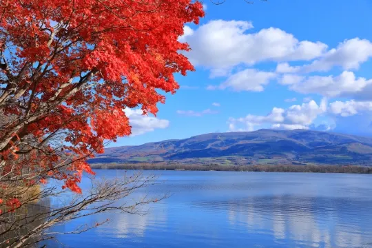 北海道エリア紅葉2025】北海道の紅葉おすすめのスポット·見頃·イベント