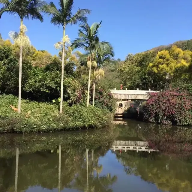 武陵農場
