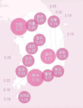 진달래 개화시기