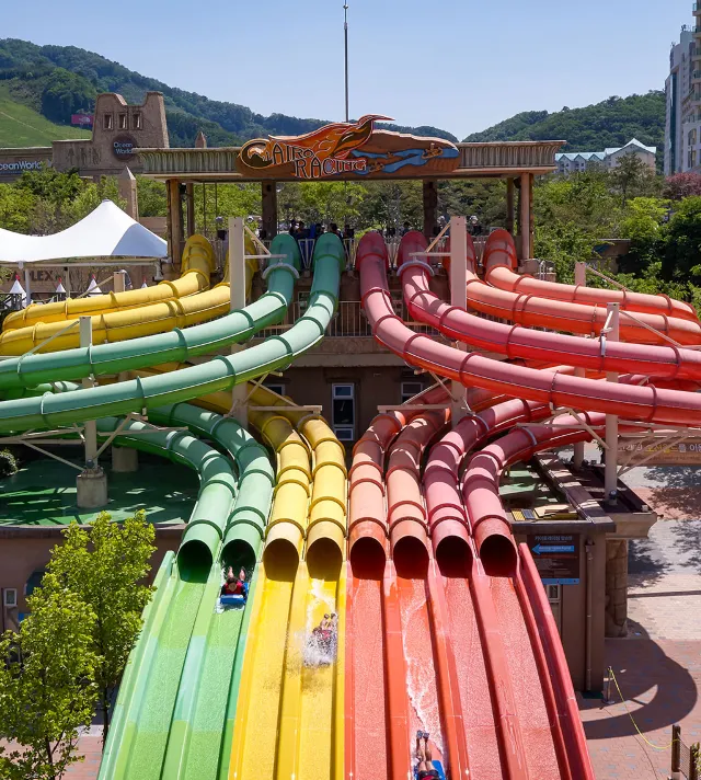 카이로레이싱