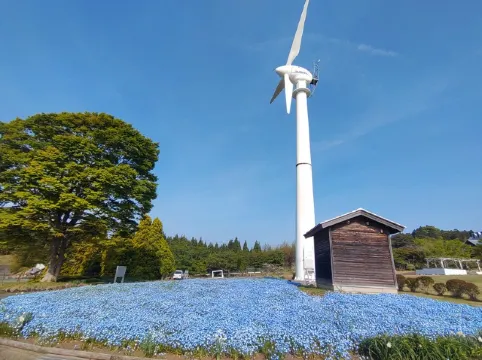 いわき市フラワーセンター