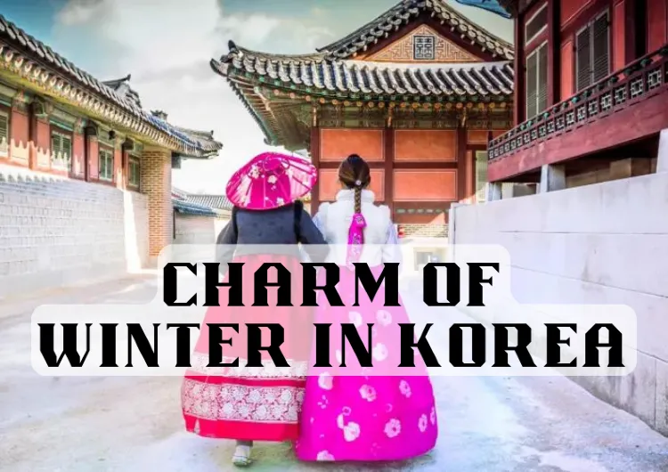 Charm of Winter in Korea: A Journey Through Snowy Splendor