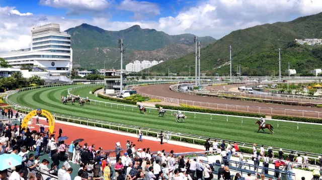 Trip.com優惠活動:香港沙田馬場半日遊