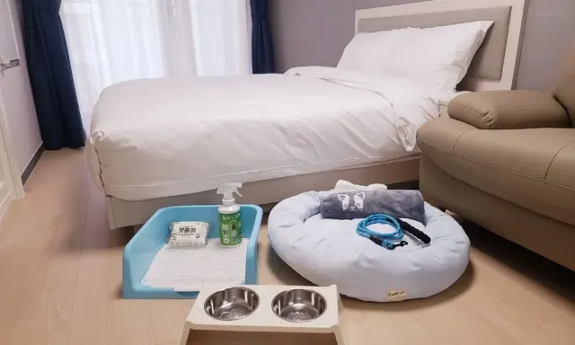 애견 동반 숙소 리센 오션파크 호텔