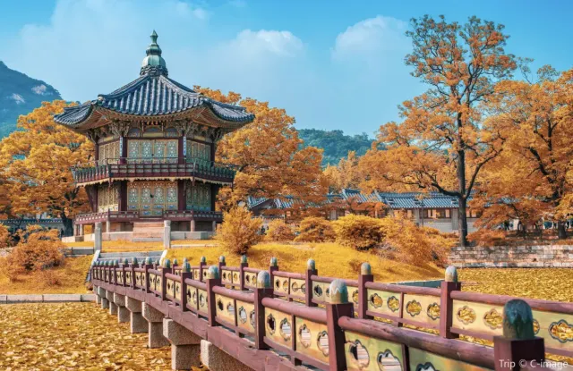 景福宮適合秋天前來賞銀杏和楓葉