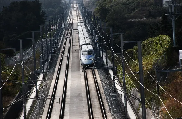 포항 가볼만한 곳 가는법