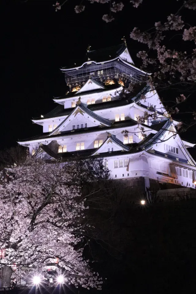 大阪城と桜