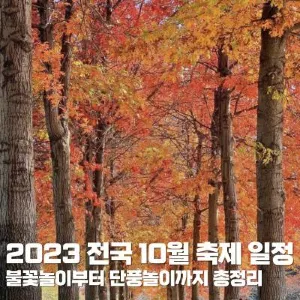 2026년 10월 축제 총정리 | 가을에 떠나기 좋은 국내·일본 가을 축제