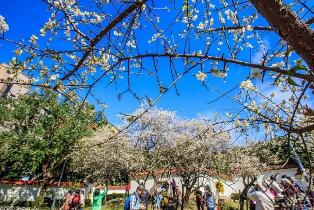 志成公園