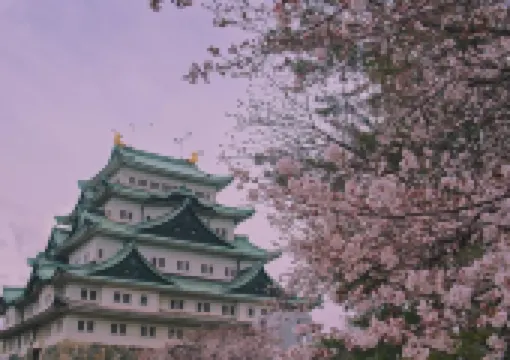 【名古屋交通】名古屋機場交通2026:中部國際機場去名古屋交通選擇