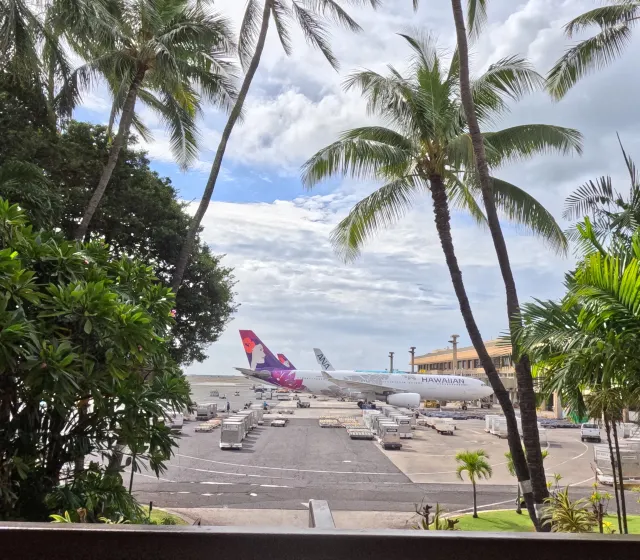 하와이 마우이 항공권