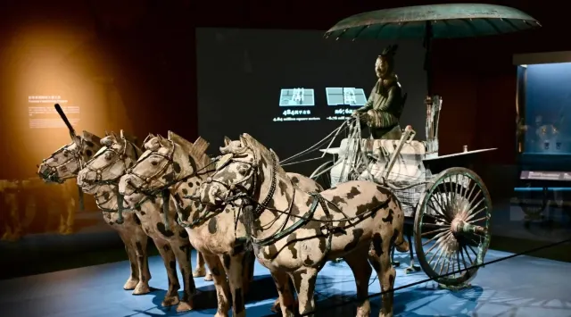 秦始皇兵馬俑香港展覽
