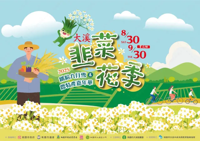 大溪韭菜花季