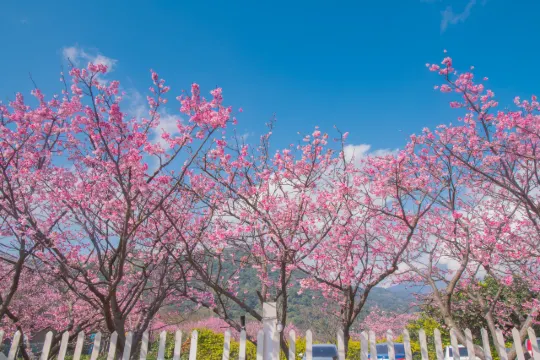 台北景點陽明山國家公園