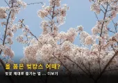 2025봄여행 숙소로 딱인 벚캉스하기 좋은 호텔 BEST7