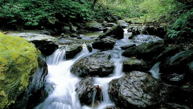 羅東景點#14 林美石磐步道