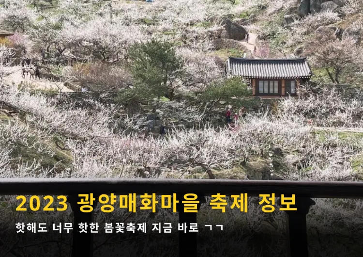 4년만에 돌아온 2023 광양매화축제 정보