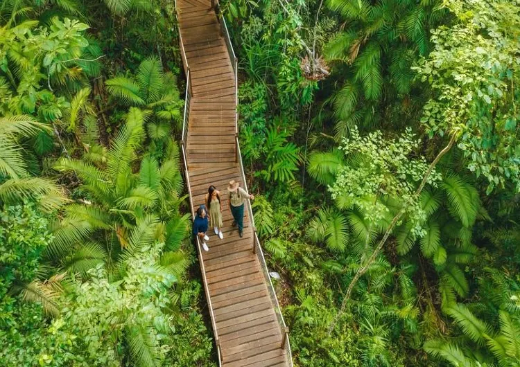 Explore Cairns and the Great Barrier Reef