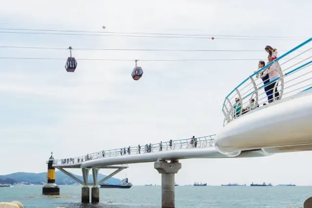 부산 송도 해상케이블카 가이드 | 2026 최신! 부산 송도 케이블카 맛집, 운행시간, 소요시간, 야경 등 총정리!