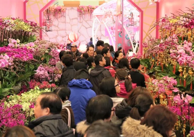 【新年好去處2026】農曆新年活動推介🧧 新春市集、年宵花市、商場裝潢一文睇