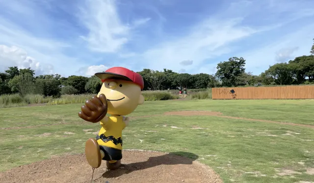 1mj4312000fry2w9vB0F3.png