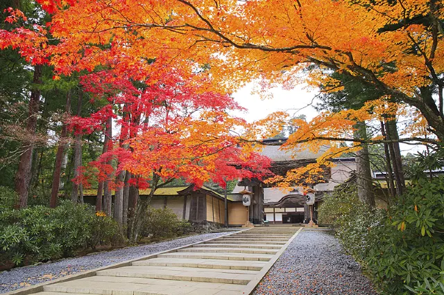 紅葉スポット2026】紅葉見頃はいつ？全国の紅葉名所・見頃時期