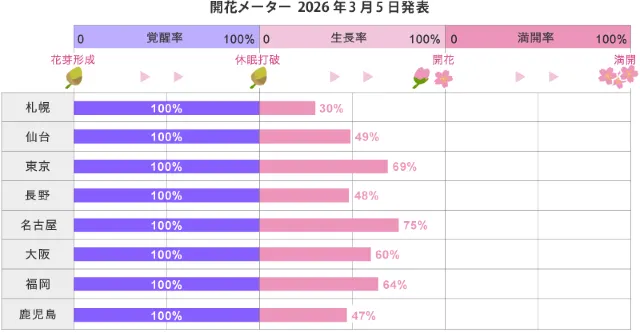 2026 日本櫻花開花儀表