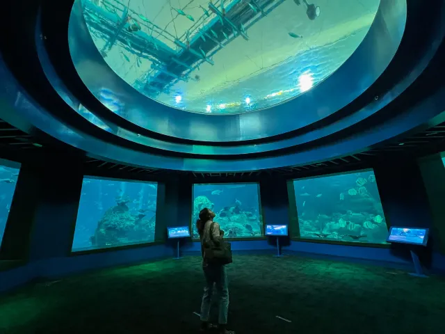 Coral Gardens 珊瑚花園