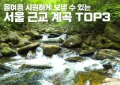 올여름 시원하게 보낼 수 있는 서울 근교 계곡 TOP3