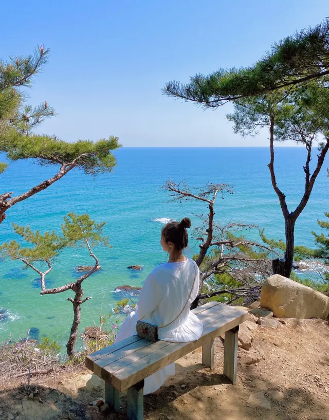 국내 동해 바다추천