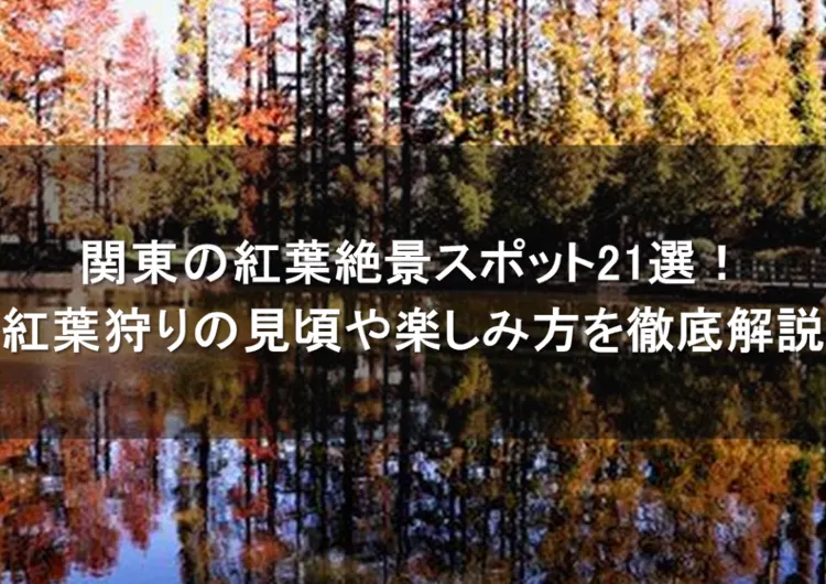 【関東紅葉2025】2025年関東の紅葉絶景スポット21選!紅葉狩りの見頃予想期間や楽しみ方·イベント·アクセスを徹底解説!
