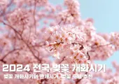 2024 전국 벚꽃 개화시기와 만개시기, 벚꽃 축제 추천