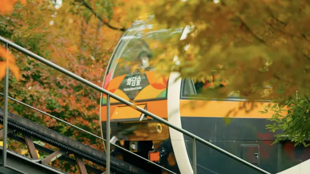2024 화담숲 예약