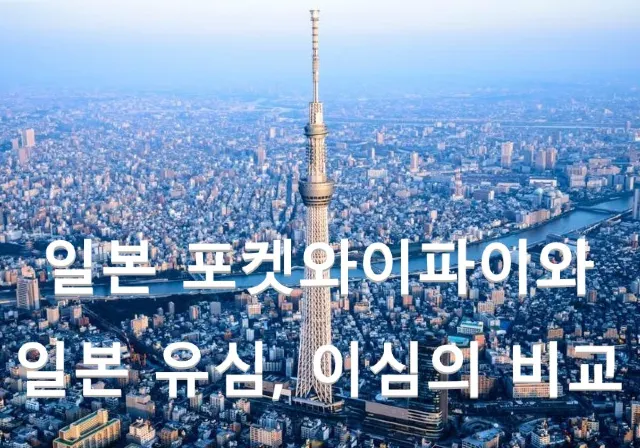 일본 포켓와이파이와 일본 유심, 이심의 비교