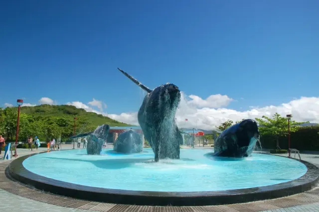 1mj4a12000hymkrf25112.webp