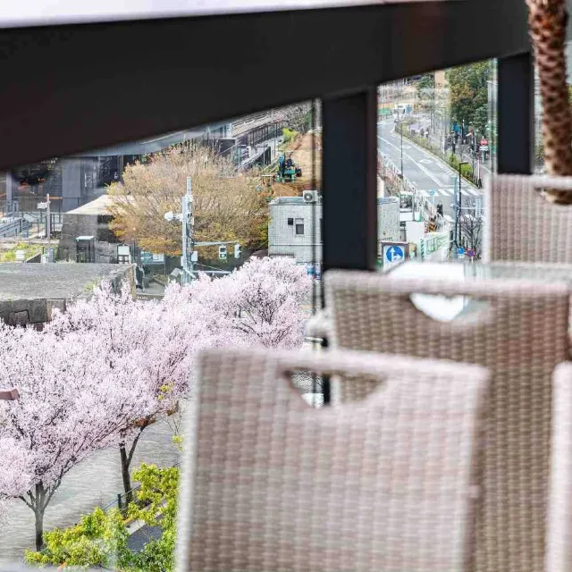 ディップパレス 飯田橋