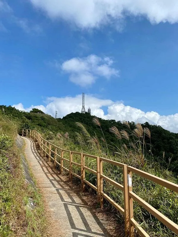 禾秧山往妙高台的欄杆山徑