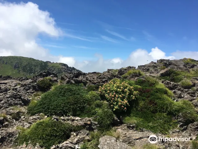 Гора Халласан