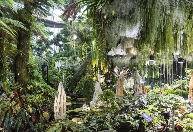 Облачный лес в Сингапуре